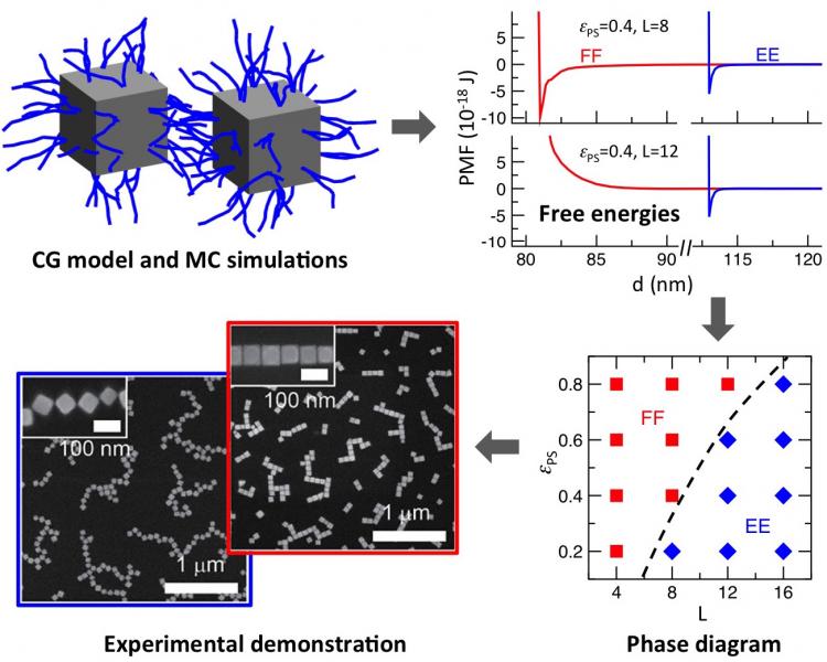 Predicting orientational phase diagrams of shaped nanoparticles from simulations