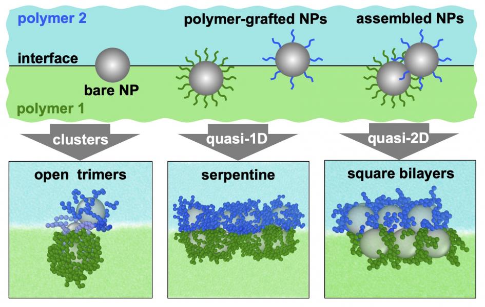 Polymer-nanoparticle Composites | Biological & Soft Materials Modeling Lab